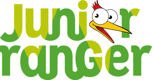 schriftzug junior ranger mit klopfer
