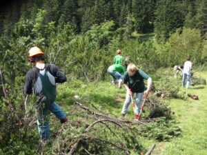 umweltbaustelle thaurer alm 2012 4
