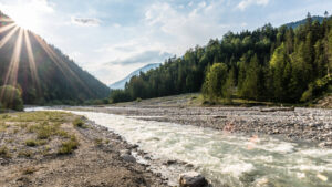 wildfluss rissbach 6