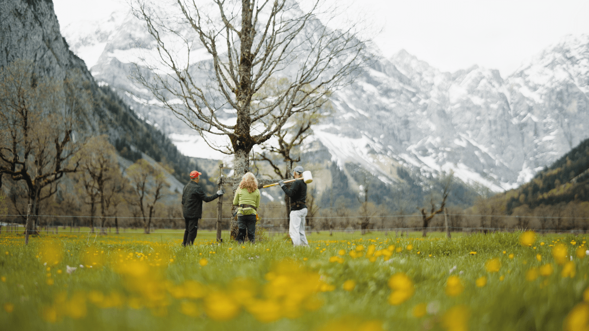 Drei Personen stehen um einen Baum auf einer Wiese mit gelben Blumen, vor dem Hintergrund von Bergen mit Schneeflecken - eine friedliche Szene in der Nähe der Zaunreparaturen Ahornboden.