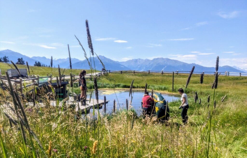 Mehrere Menschen stehen und knien am Walderalmteich, einem kleinen Teich in einer grasbewachsenen Wiese mit Bergen und einem Holzzaun im Hintergrund unter einem klaren blauen Himmel.