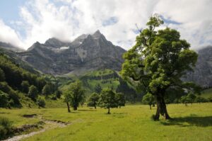 Eine grasbewachsene Wiese mit vereinzelten Bäumen im Vordergrund, im Herzen des Großen Ahornbodens im Rißtal gelegen, mit felsigen, schneebedeckten Bergen und Wolken, die eine atemberaubende, von Nachhaltigkeit inspirierte Kulisse bilden.