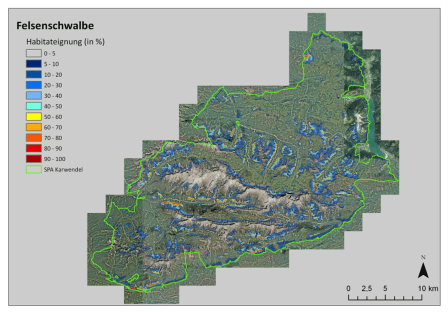 Karte der prozentualen Lebensraumeignung der Felsenschwalbe in der Karwendelregion, schattiert von 0-100%, mit grüner Grenzlinie und Skalenbalken in Kilometern.