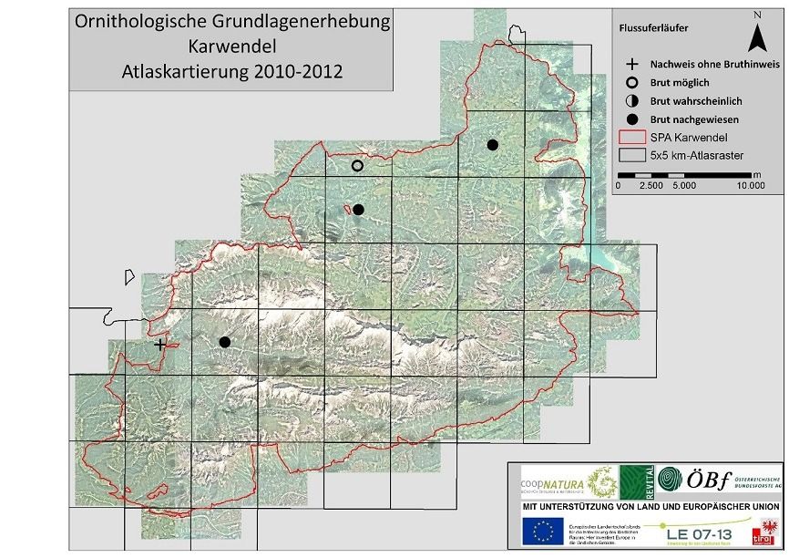 Karte der Karwendelregion mit eingezeichneten Flussuferläufer-Brutplätzen, Rasterüberlagerung, Legende und Logos der unterstützenden Organisationen.