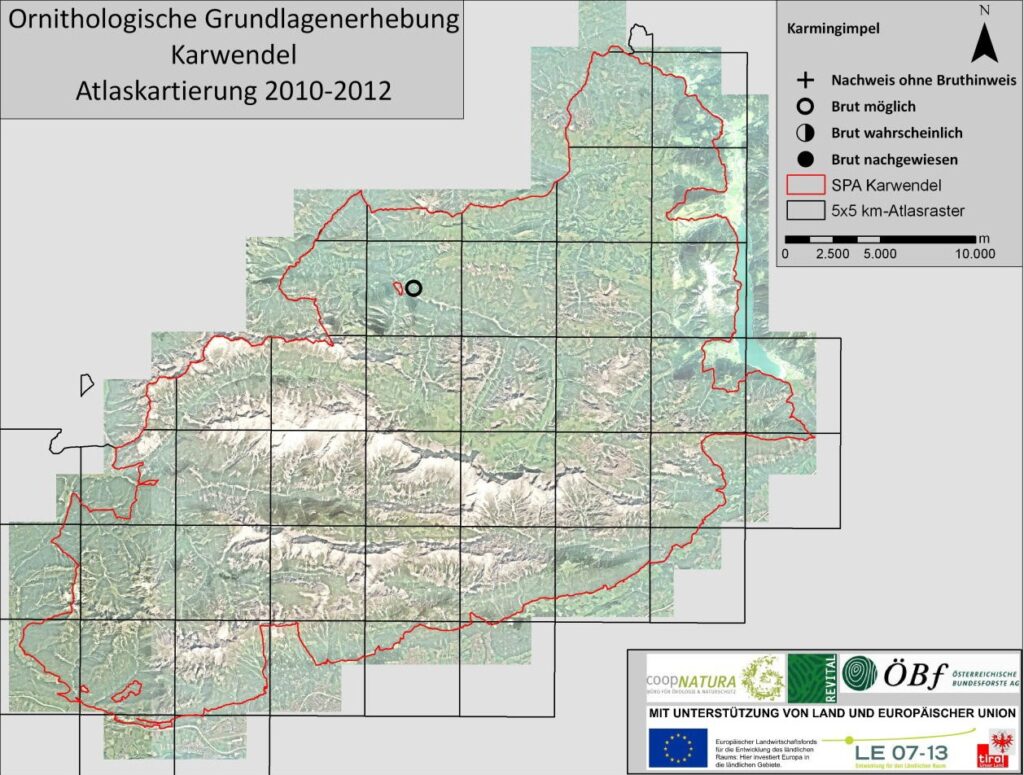 Lebensraum Karmingimpel