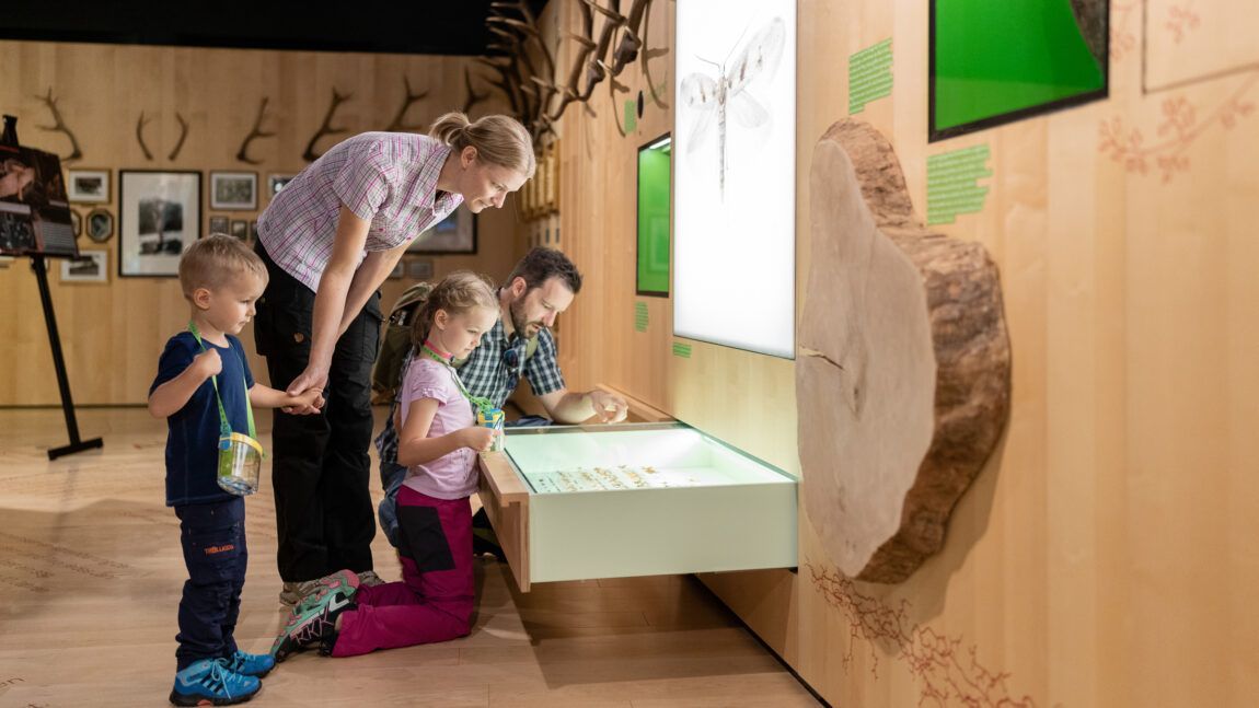 Eine vierköpfige Familie untersucht Insekten und Naturschauspiele in einer Museumsausstellung im Naturparkhaus Hinterriß, wobei Kinder und Erwachsene die Schubladen und interaktiven Tafeln genau beobachten.