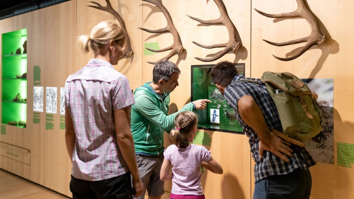 Vier Personen betrachten im Naturparkhaus Hinterriß eine lehrreiche Ausstellung mit großen Geweihen und Informationstafeln und interagieren mit ihr.