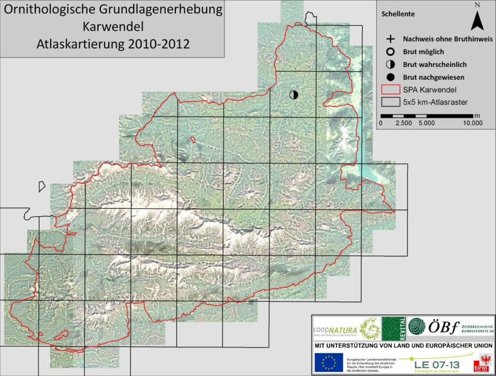 Karte mit ornithologischen Erhebungsergebnissen im Karwendel (2010-2012), mit Schellente-Nistdaten, SPA-Grenzen, Rasterüberlagerung und Organisationslogos am unteren Rand.