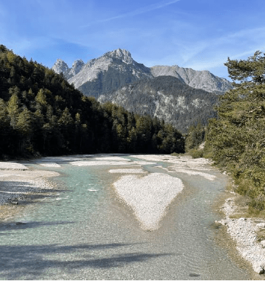 Ein seichter Fluss mit klarem Wasser fließt zwischen baumbestandenen Ufern, mit felsigen Kiesbänken und Bergen im Hintergrund unter einem blauen Himmel - eine ruhige Szene, die oft während einer Klimawandelexkursion Karwendelschlucht in den Alpen erkundet wird.