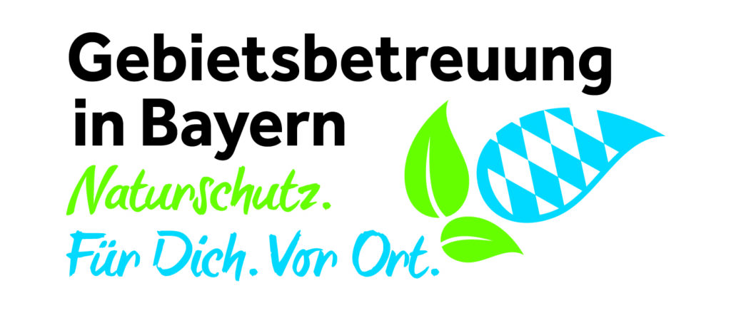 Birkhuhn weiblich am Boden