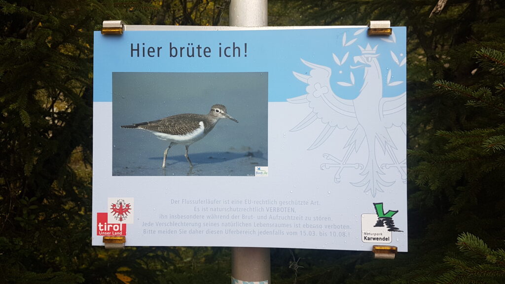 Auf einem Schild mit dem Foto eines Flussuferläufers steht "Hier brüte ich!". ("Hier brüte ich!") und weist auf lokale Natur- und Artenschutzprojekte hin und informiert über die geschützten Vogelarten und die Brutzeit im Gebiet.