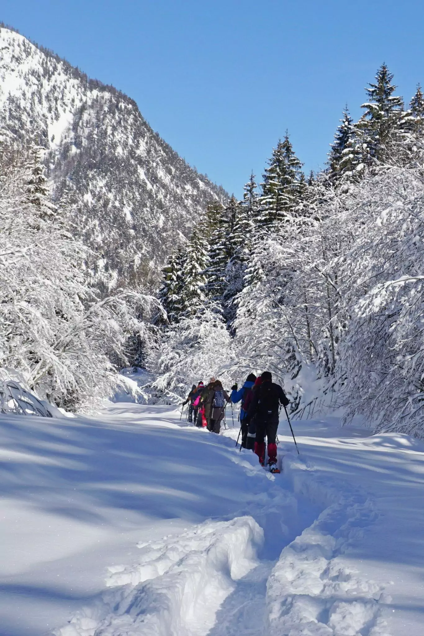 Eine Gruppe von Menschen, die im Gänsemarsch durch eine verschneite, bewaldete Berglandschaft unter einem klaren blauen Himmel laufen, aufgenommen bei Foto-/ Filmaufnahmen & Drohnen.
