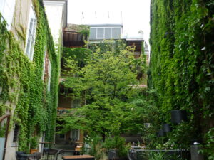 Ein Innenhof mit efeubewachsenen Wänden, einem Baum in der Mitte und Sitzgelegenheiten im Freien - ein idealer Ort für KlimaPädagogik und Lernen im Freien.