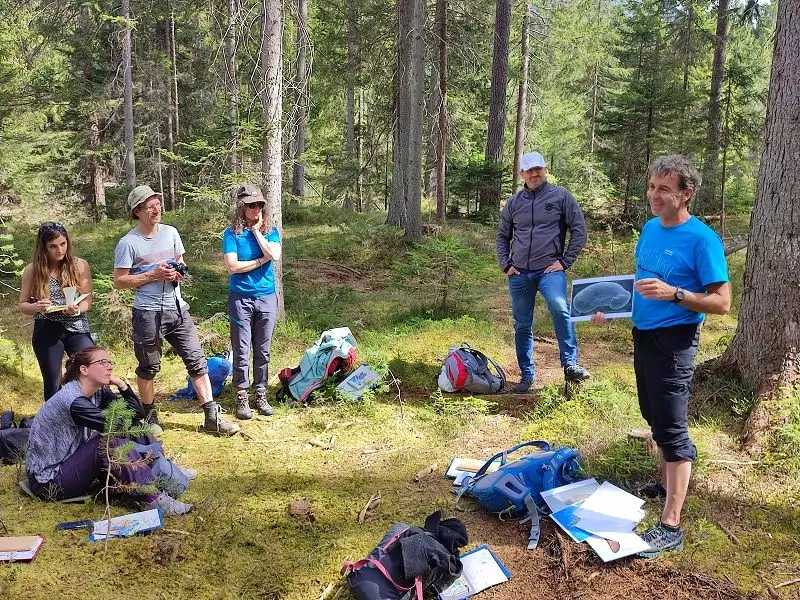 Eine Gruppe von Menschen in einem Wald hört einem Mann zu, der eine durchsichtige Mappe hält, während um sie herum Rucksäcke und Notizbücher auf dem Boden liegen - eine immersive KlimaPädagogik-Sitzung in der Natur.