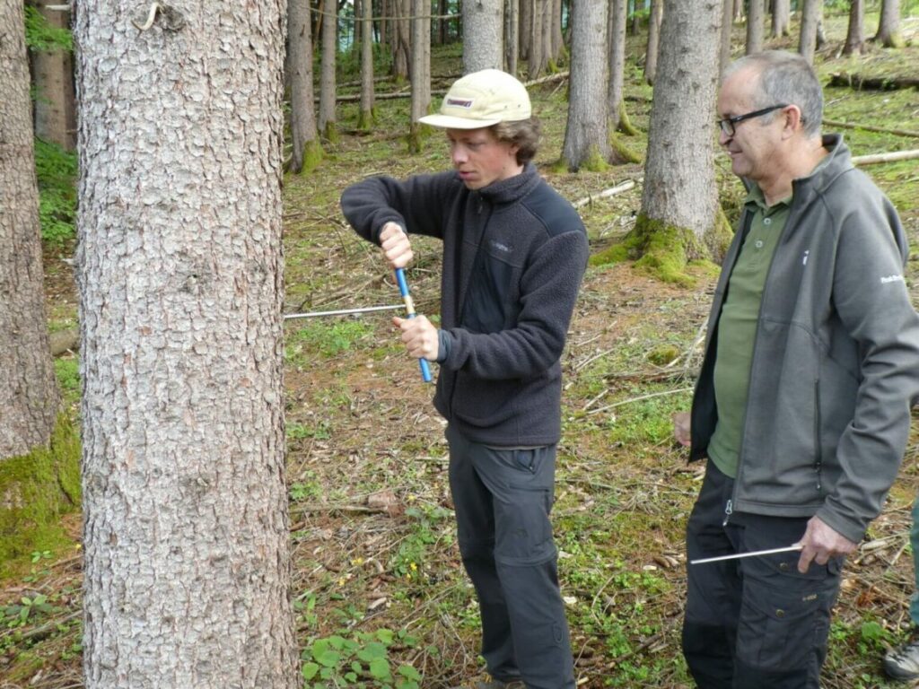 Zwei Personen entnehmen in einem Wald mit einem Zuwachsbohrer eine Kernprobe aus einem Baumstamm, um sie zu untersuchen. Das ist praktische KlimaPädagogik in Aktion.