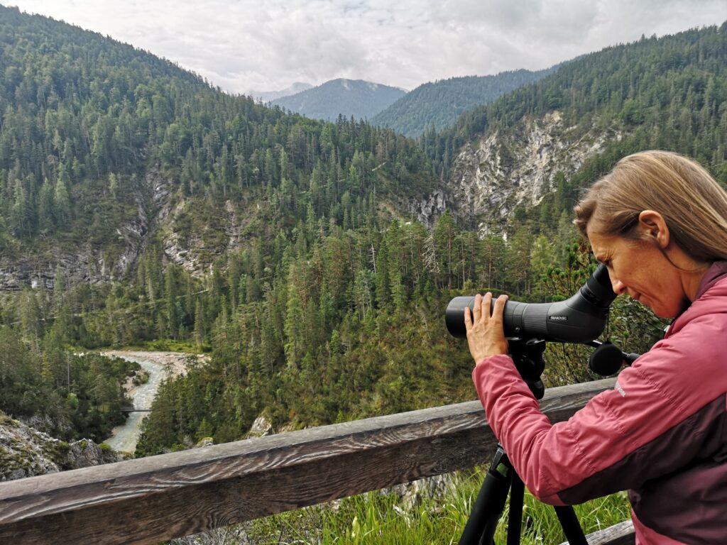 Eine Person in einer rosafarbenen Jacke beobachtet mit einem Spektiv eine bewaldete Berglandschaft hinter einem Holzgeländer und fängt dabei Ansichten ein, die unzählige Downloads wert sind.