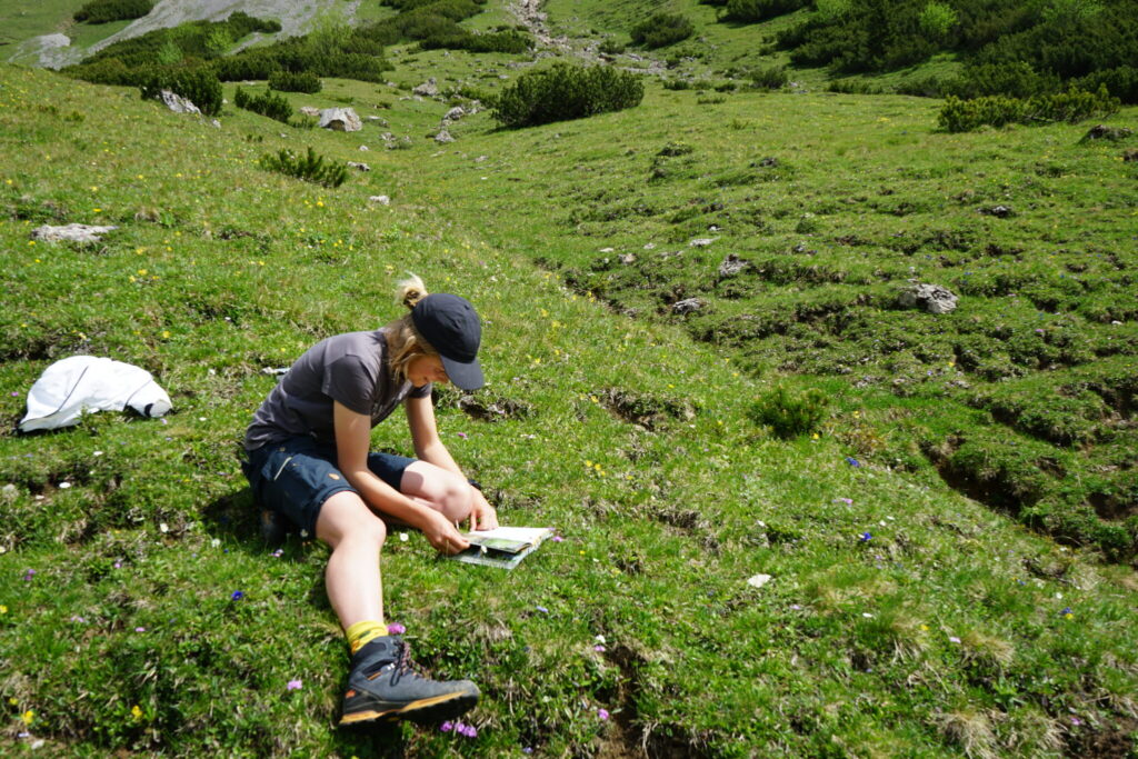 Person, die auf einem grasbewachsenen Hügel sitzt, vertieft in aktuelle Forschung auf einer Karte oder in einem Buch, mit einer weißen Tasche in der Nähe und üppiger grüner Vegetation im Hintergrund.