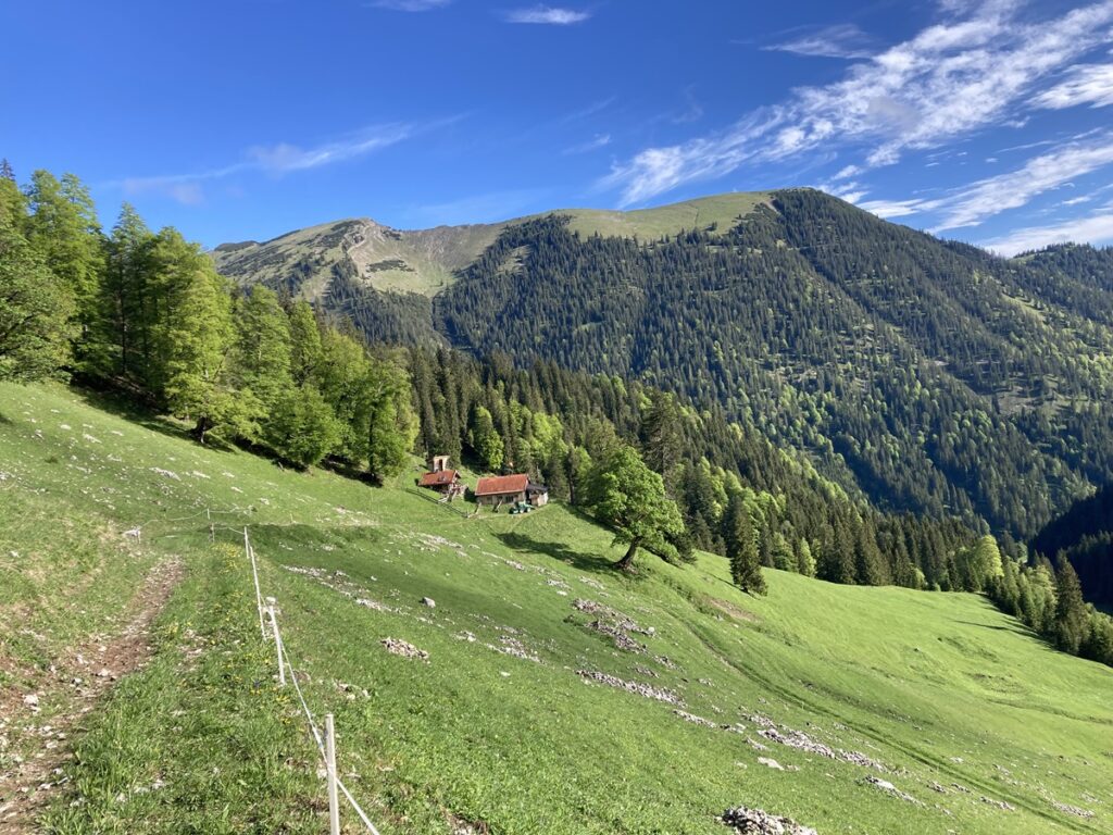 Ein grasbewachsener Hügel mit vereinzelten Bäumen, eine kleine Ansammlung von Gebäuden mit roten Dächern und bewaldete Berge unter einem blauen Himmel mit Wolken - eine idyllische Kulisse für Natur- und Artenschutzprojekte.