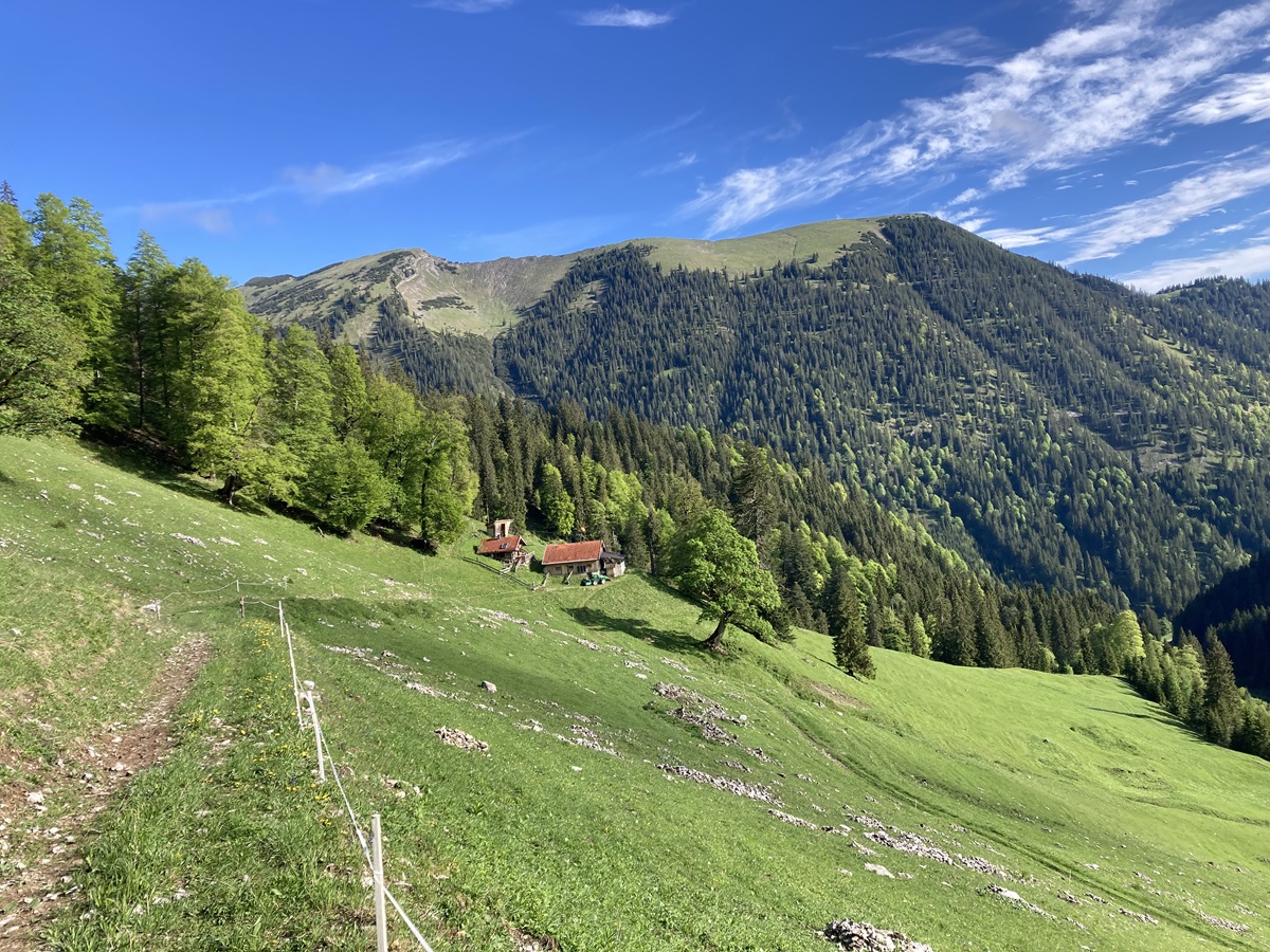 Ein grasbewachsener Hügel mit vereinzelten Bäumen, eine kleine Ansammlung von Gebäuden mit roten Dächern und bewaldete Berge unter einem blauen Himmel mit Wolken - eine idyllische Kulisse für Natur- und Artenschutzprojekte.