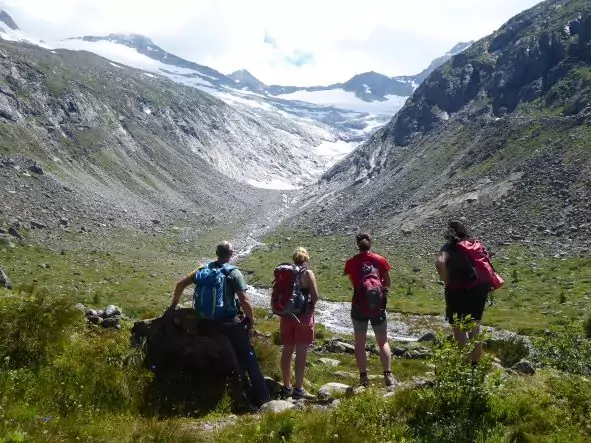 Vier Wanderer mit Rucksäcken stehen auf einem grasbewachsenen Hang und blicken auf einen Gletscher und verschneite Berggipfel - eine inspirierende Szene für die KlimaPädagogik, die die Schönheit und Zerbrechlichkeit der Natur hervorhebt.