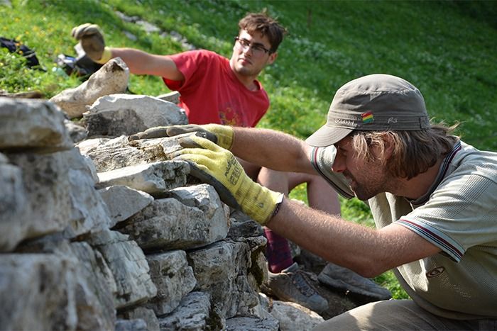 Zwei Personen mit Handschuhen arbeiten im Freien und setzen sorgfältig eine von Gras umgebene Steinmauer zusammen oder reparieren sie, während sie sich an Downloads auf einem Gerät in der Nähe orientieren.