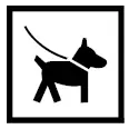 Schwarz-weißes Symbol eines Hundes an der Leine, dargestellt in Profilansicht innerhalb eines quadratischen Rahmens - perfekt für Klettern Karwendel Abenteuer mit Ihrem hündischen Begleiter.