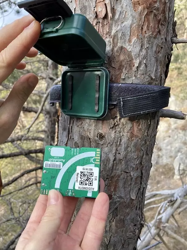 Eine Person hält eine grüne Platine mit einem QR-Code neben einem geöffneten grünen Lifeplan-Koffer, der an einen Baumstamm geschnallt ist.