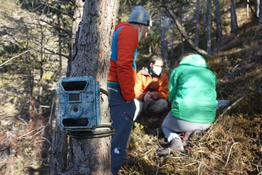 Eine Trail-Kamera, Teil des Lifeplan-Projekts, ist an einem Baum im Vordergrund angebracht, während drei Personen in Outdoor-Kleidung in einem Waldgebiet im Hintergrund arbeiten und sich unterhalten.