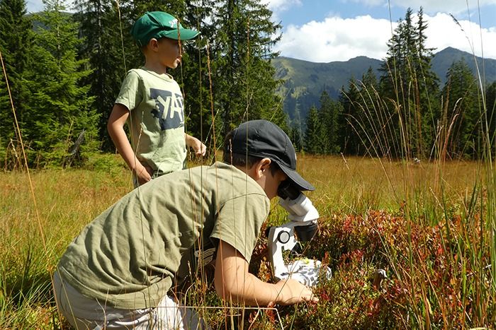 Zwei Kinder in Outdoor-Kleidung beobachten Pflanzen auf einer Wiese; eines schaut durch ein Mikroskop, während das andere in der Nähe steht. Im Hintergrund sind Kiefern und Berge zu sehen, ein perfekter Moment für von der Natur inspirierte Downloads.