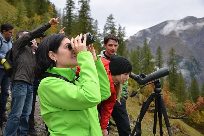 Eine Gruppe von Menschen auf einem Bergpfad beobachtet mit Fernglas und Spektiv etwas in der Ferne und hält inne, um Downloads von Vogelbeobachtungsführern auf ihren Geräten zu prüfen.
