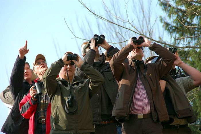 Eine Gruppe von Menschen im Freien, die nach oben zeigen und durch ein Fernglas schauen - vielleicht auf der Suche nach Vögeln oder Wildtieren. Bäume und blauer Himmel füllen den Hintergrund, während sie Hinweise wie Downloads aus der Natur sammeln.