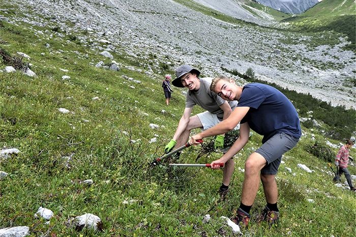 Zwei Personen schneiden mit einer Astschere Sträucher auf einem grasbewachsenen Hügel, während zwei weitere Personen im Hintergrund arbeiten. Das felsige Gelände und die Berge sind zu sehen, während sie Downloads von Ressourcen für die Landwiederherstellung verwalten.