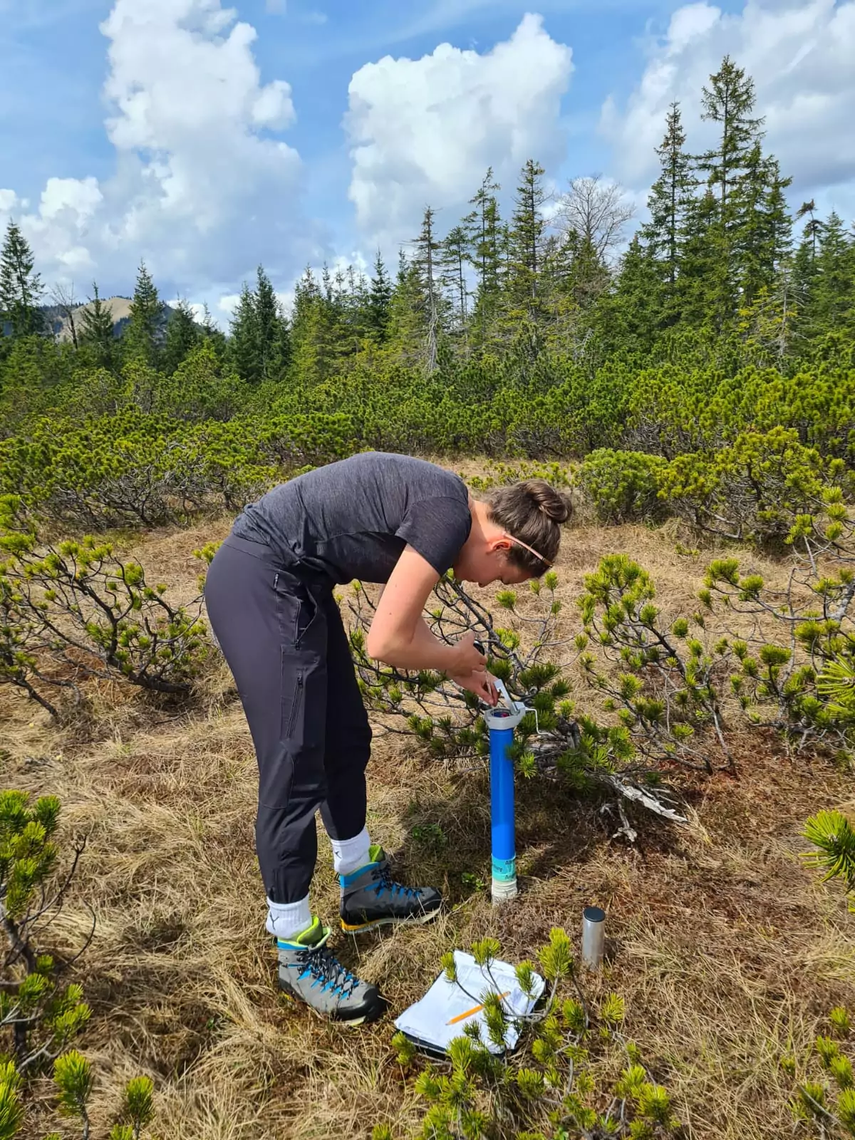 Eine Person entnimmt eine Probe aus einem blauen Bodenbohrer in einem grasbewachsenen, bewaldeten Gebiet bei teilweise bewölktem Himmel und trägt damit wertvolle Daten zu Natur- und Artenschutzprojekten bei.