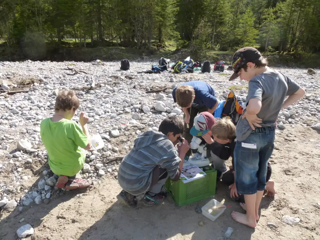 Fünf Kinder auf einer Expedition Karwendel untersuchen mit Behältern und Lupen Gegenstände an einem sandigen Flussufer, mit Rucksäcken und Bäumen im Hintergrund.