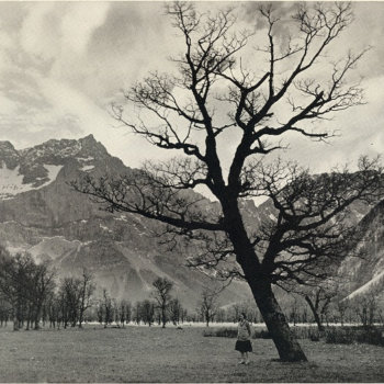 Eine Frau steht auf einem Feld, vor ihr ein einsamer Baum und in der Ferne erheben sich Berge, wobei jedes Element still seine eigene Geschichte in sich trägt.