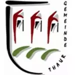 Stilisiertes Logo mit drei roten und schwarzen Formen, die an Fenster erinnern, über drei grünen geschwungenen Linien, mit dem Schriftzug "Gemeinde Thaur" am rechten Rand, der einen starken Gemeindepartner symbolisiert.