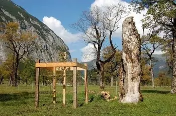 Ein junger Baum, der im Rahmen von Natur- und Artenschutzprojekten durch einen Holzzaun geschützt wird, steht neben einem alten, verwitterten Baumstamm auf einer Wiese mit Bergen im Hintergrund.