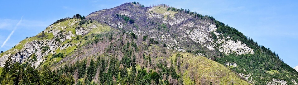 Ein Berg mit grünen Bäumen und freiliegenden Felsen unter einem strahlend blauen Himmel bietet Inspiration für Forschungsprojekte, die sich mit Natur und Geologie beschäftigen.