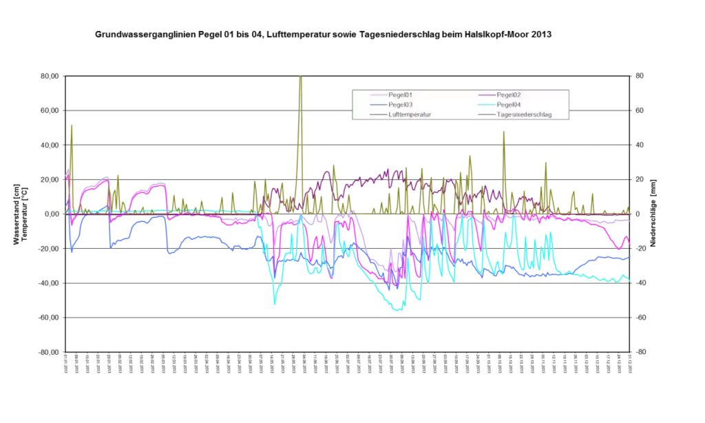 Liniendiagramm mit mehreren farbigen Datenreihen mit starken zeitlichen Schwankungen; die Legende identifiziert die Reihen als Pegel01-04, Lufttemperatur und Tagesniederschlag - Schlüsselkennzahlen für Natur- und Artenschutzprojekte.