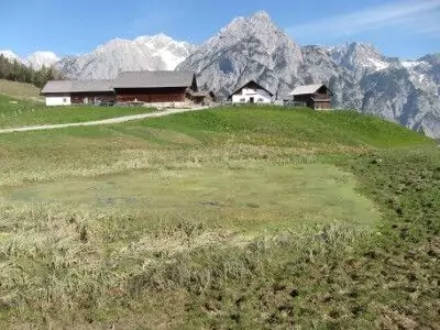Mehrere Bauernhäuser stehen auf einem grasbewachsenen Hügel mit einem unbefestigten Weg davor, vor dem Hintergrund felsiger, schneebedeckter Berge und eines strahlend blauen Himmels - eine idyllische Szene, die oft in erfolgreichen Natur- und Artenschutzprojekten gezeigt wird.