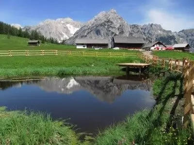 Ein kleiner Teich mit Holzzaun umgibt eine Wiese und mehrere Scheunen vor der Kulisse der Berge und des blauen Himmels - ein idyllischer Ort, der oft für Natur- und Artenschutzprojekte gewählt wird.