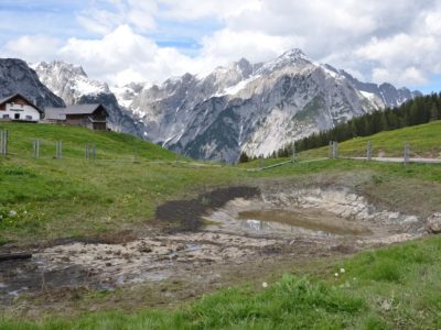 Ein kleiner, fast trockener Teich an einem grasbewachsenen Hang, umgeben von Alpenhäusern und schneebedeckten Bergen bei teilweise bewölktem Himmel - ein ideales Umfeld für Natur- und Artenschutzprojekte.