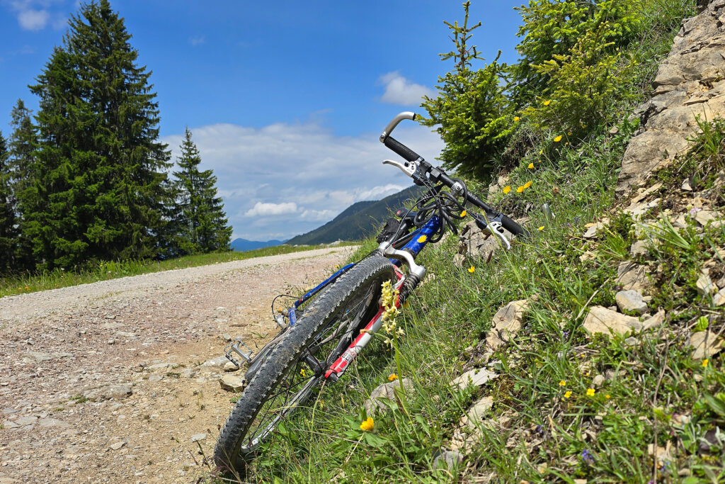 Ein Mountainbike liegt auf der Seite auf einem grasbewachsenen Hang neben einem Schotterweg, als warte es auf eine Ausstellung vor einer Kulisse aus Bäumen und Bergen unter einem teilweise bewölkten Himmel.