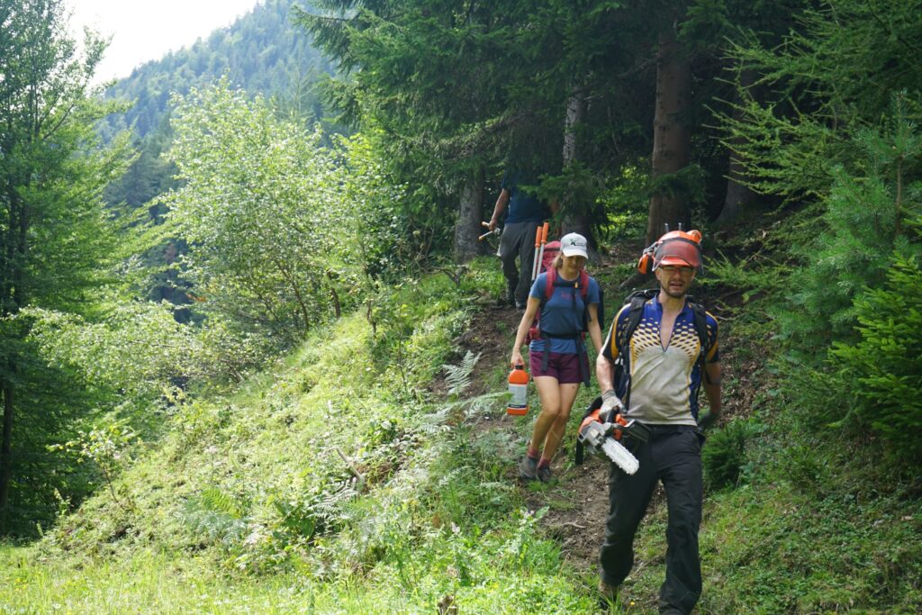 Drei Personen mit Kettensägen und Ausrüstung gehen auf einem bewaldeten Bergpfad in der Nähe der Achselkopfalm, umgeben von Bäumen und Grünflächen.