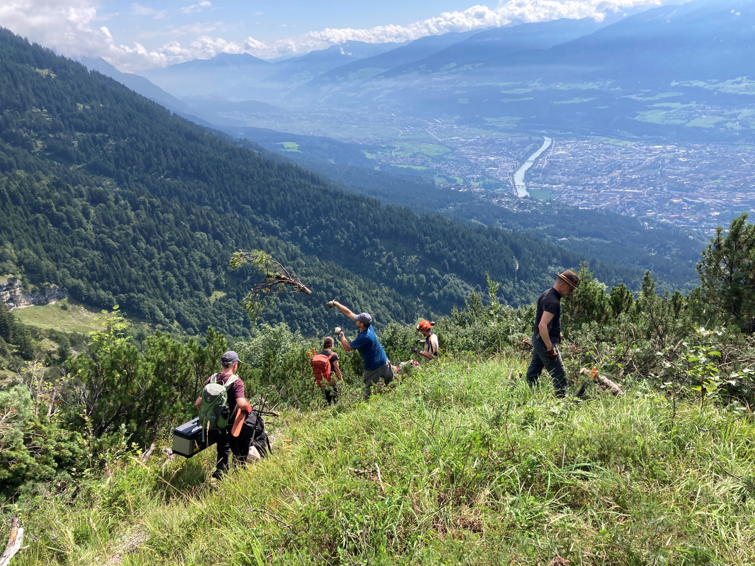 Eine Gruppe von Menschen erklimmt den steilen, grasbewachsenen Hang in der Nähe der Achselkopfalm, von dessen Bäumen aus man ein Flusstal und die darunter liegende, von Bergen umgebene Stadt überblickt.