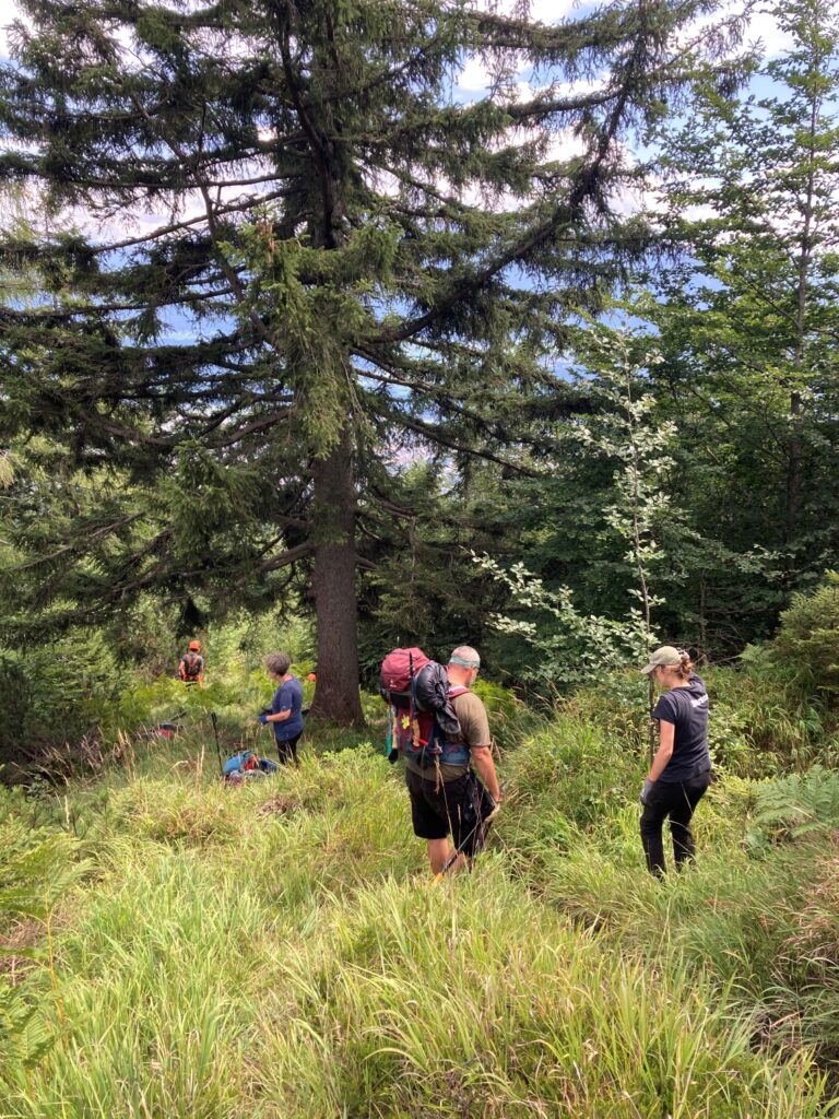 Vier Personen mit Rucksäcken stehen und gehen in einem grasbewachsenen, bewaldeten Gebiet in der Nähe der Achselkopfalm, umgeben von Bäumen und Sträuchern, und haben einige Outdoor-Ausrüstungen auf den Boden gelegt.