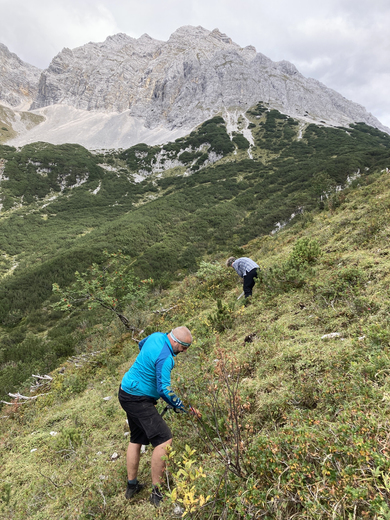 Zwei Personen in Outdoor-Kleidung nehmen an der Almpflege Martinsbergalm teil. Sie arbeiten an einem grasbewachsenen, steilen Hang mit Berggipfeln und grünen Bäumen im Hintergrund.