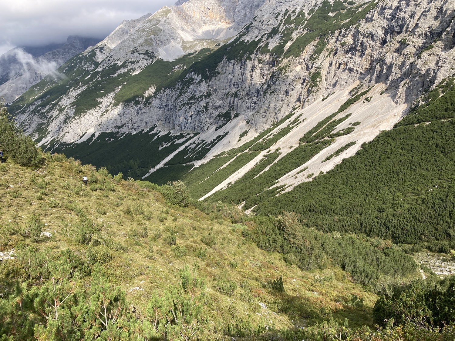 Berghang mit grüner Vegetation im Vordergrund, der von der Almpflege Martinsbergalm geprägt ist, und felsigen, grasbewachsenen Klippen im Hintergrund unter einem teilweise bewölkten Himmel.