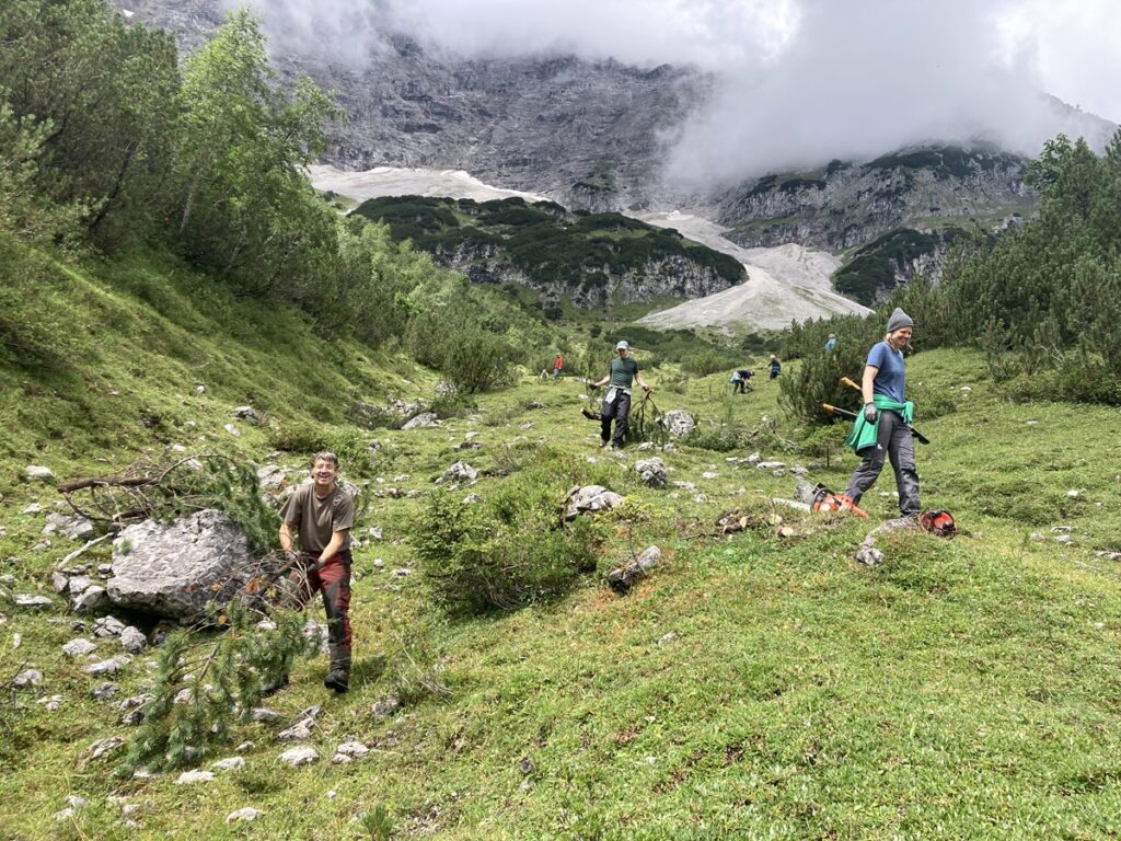 Menschen bei der Arbeit im Freien auf einem grasbewachsenen Berghang, die Werkzeuge und Äste tragen, mit felsigen Hügeln und Wolken im Hintergrund.