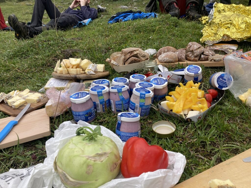 Ein Picknick im Freien mit Joghurtbechern, verschiedenen Käsesorten, Brot, in Scheiben geschnittener gelber Paprika, Kohlrabi und roter Paprika im Gras; im Hintergrund entspannen sich Menschen.
